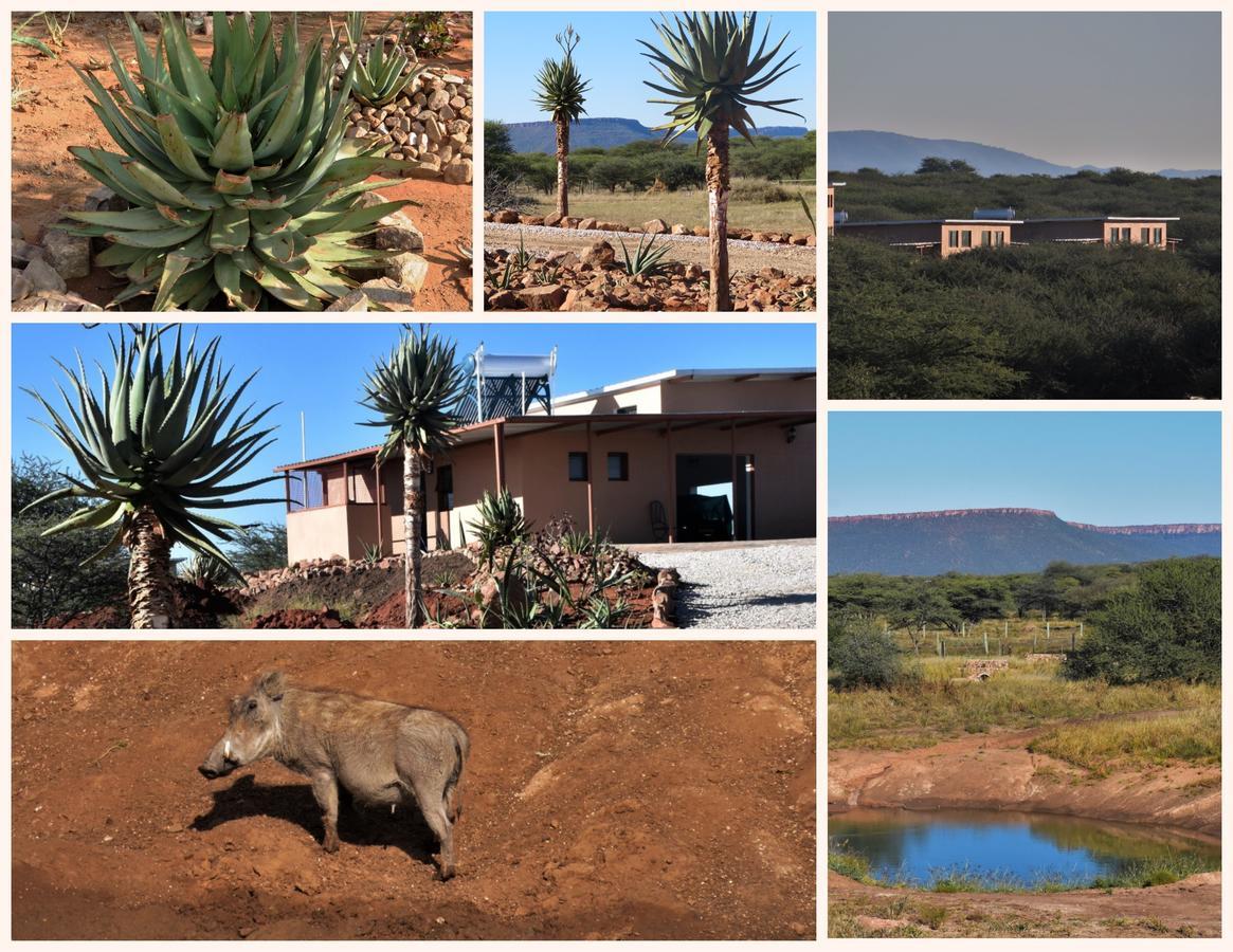 Cheetah View Lodge Otjiwarongo Exterior foto